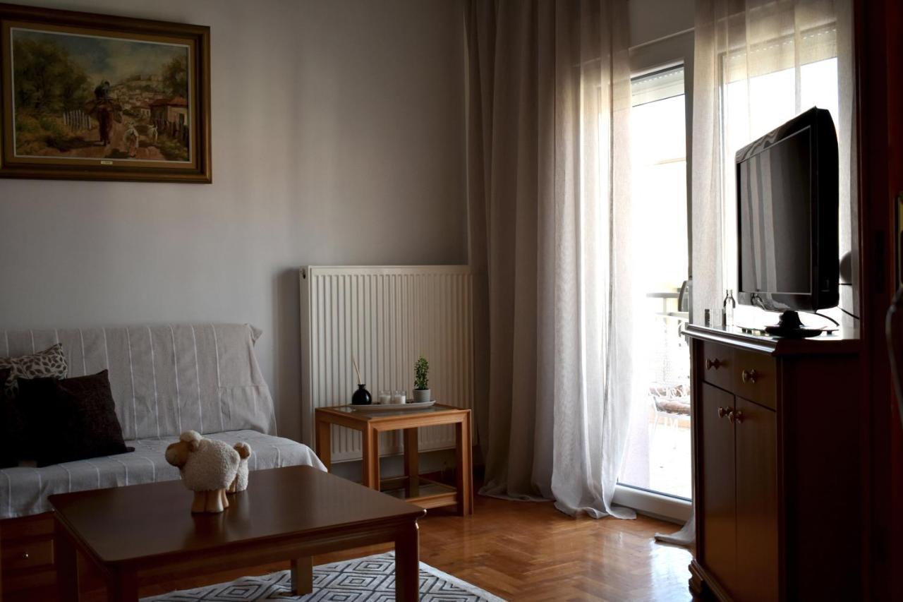 Κεντρικό Και Ευρύχωρο Οροφοδιαμέρισμα Kastoria Ngoại thất bức ảnh